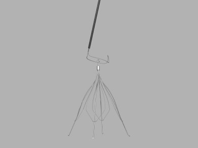 Cook IVC filter retrieval kit